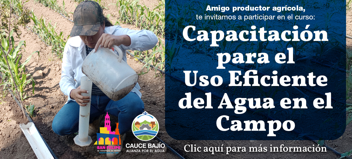 Cursos